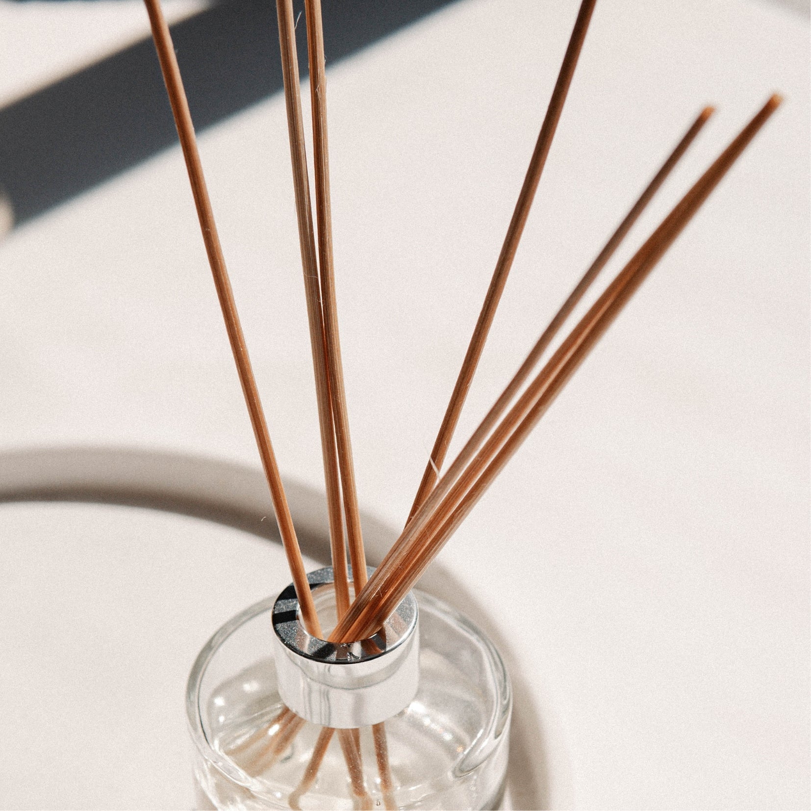 Tiges pour diffuseurs