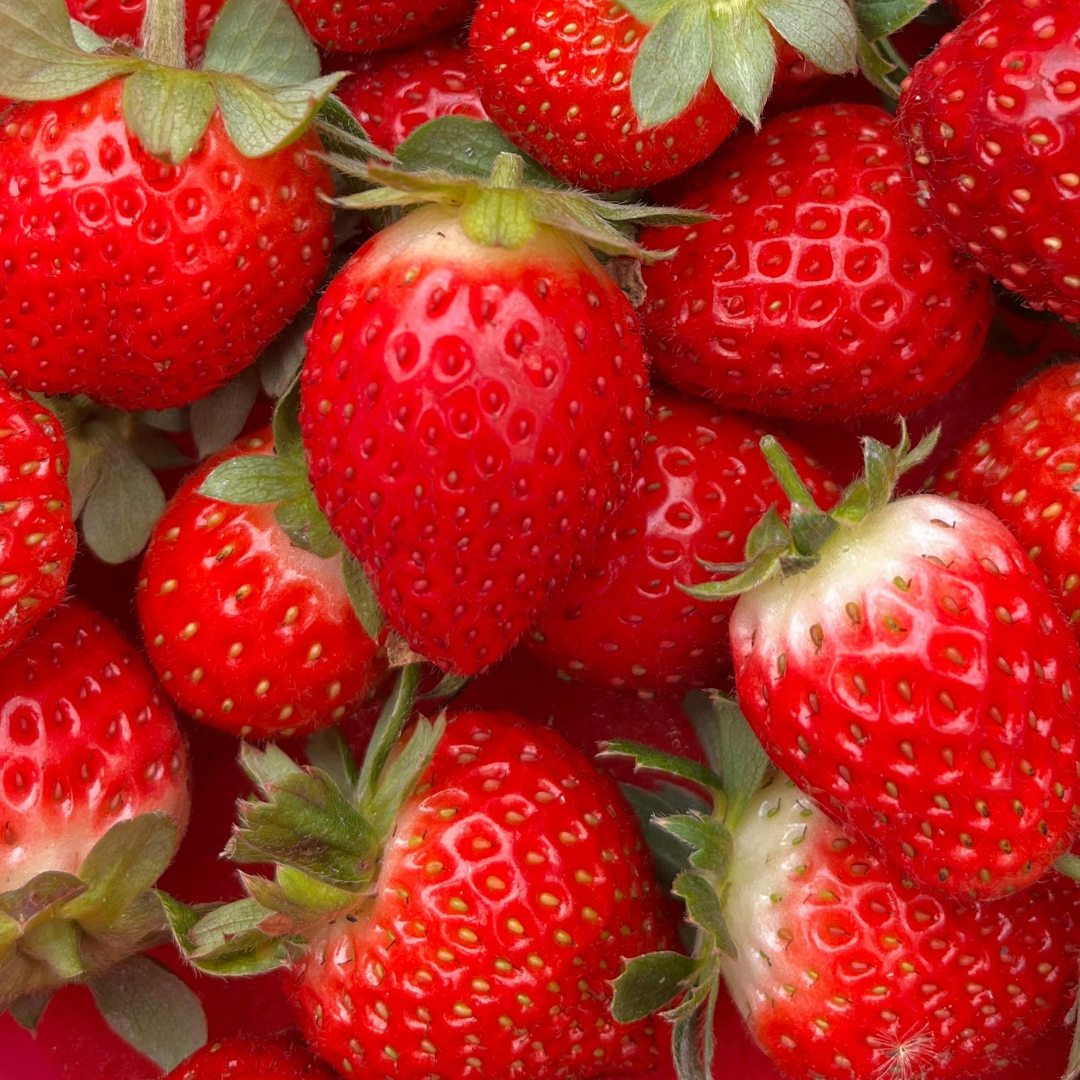 Sirop de Fraise - Parfum pour bougie