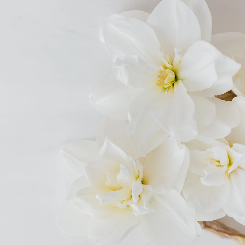Échantillons de parfums, cires, mèches et contenants pour bougies