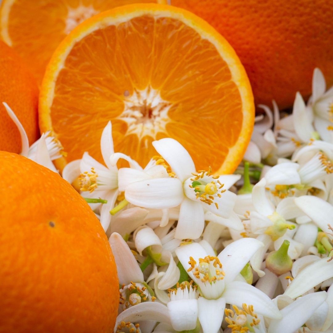 Fleur d'Oranger